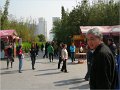 Shanghai (172)